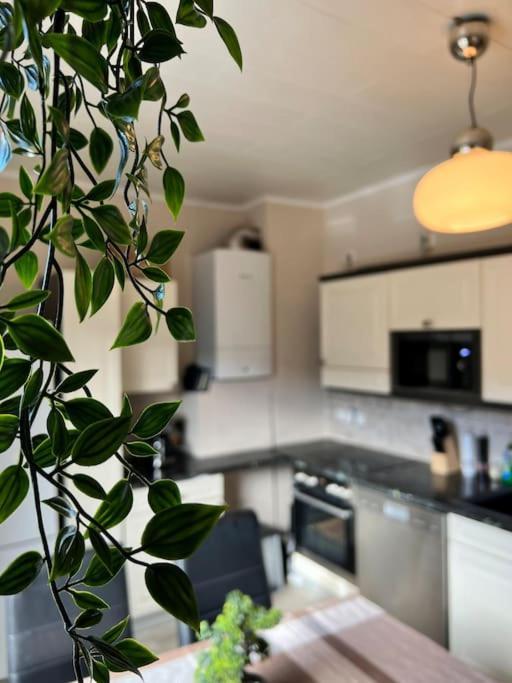 Apartment Gemuetliches Reihenhaus Mit Terrasse Magdeburg