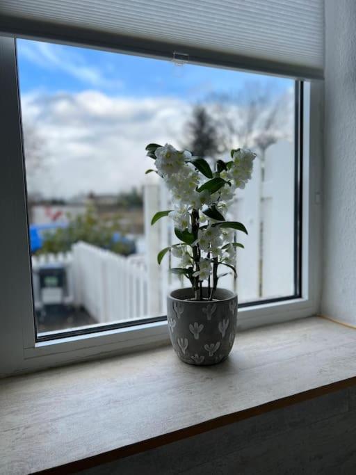 Gemuetliches Reihenhaus Mit Terrasse Apartment *